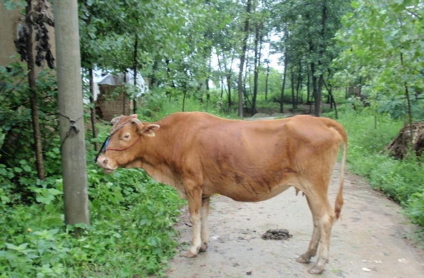 安宁最新求一个套医保卡的黄牛是真的吗方法分析(最方便真实的安宁求一个套医保卡的黄牛是真的吗还是假的方法)